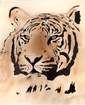 Tiger Head - Colored Pencil, Ink, Airbrush